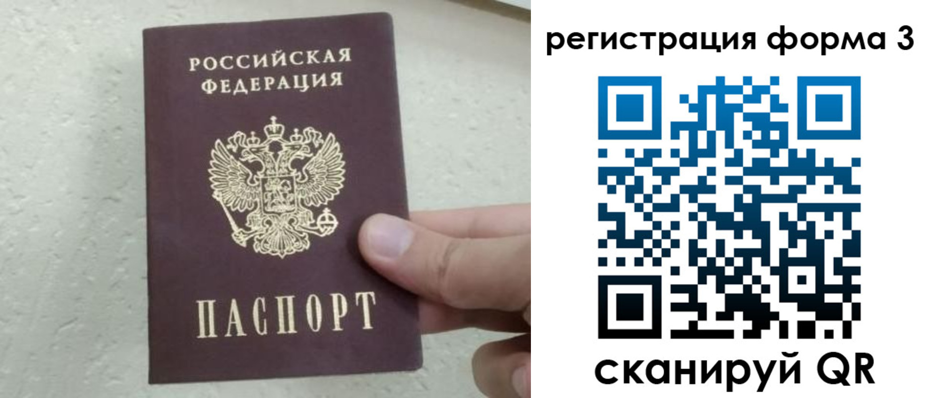 временная регистрация для всех в Светлогорске